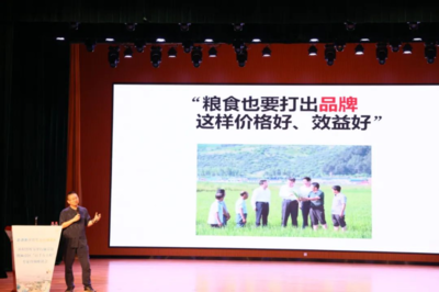 &ldquo;鄉村智庫&rdquo;、&ldquo;專家智匯&rdquo;共同加力麻章提速&ldquo;百千萬工程&rdquo;落實落細