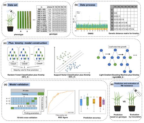 智能育種新突破 AI模型精準(zhǔn)篩選抗病種子，數(shù)字化技術(shù)引領(lǐng)農(nóng)業(yè)革新